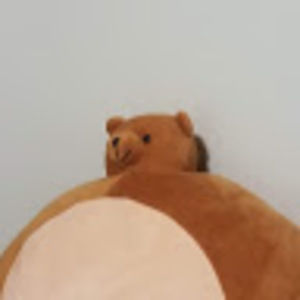 Meet your Posher, Kallie